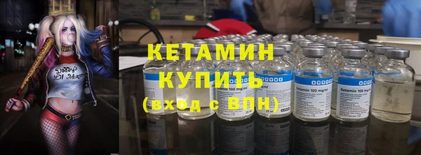 амф Гусев