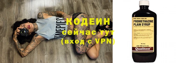 стаф Дмитров