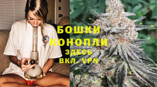 крисы Дмитриев