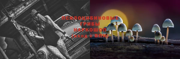 крисы Дмитриев