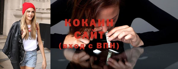 стаф Дмитров