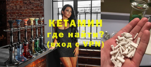 стаф Дмитров