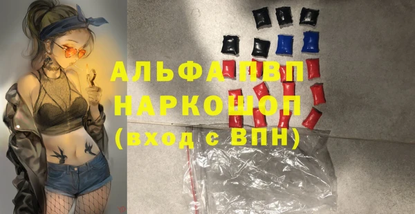 стаф Дмитров