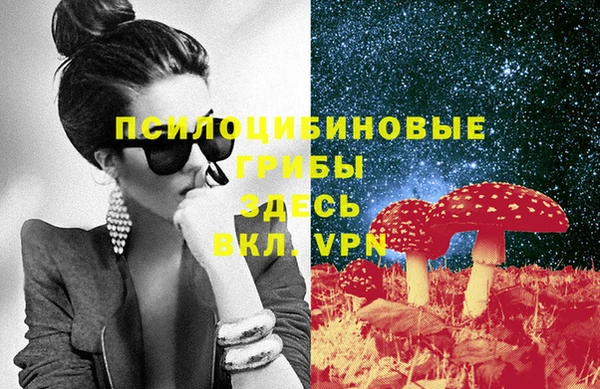 крисы Дмитриев