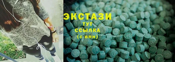 стаф Дмитров