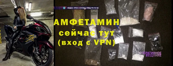 стаф Дмитров