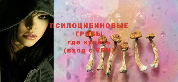 стаф Дмитров