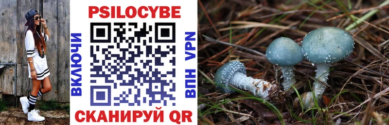 Купить  Кирово-Чепецк  Галлюциногенные грибы Psilocybe 